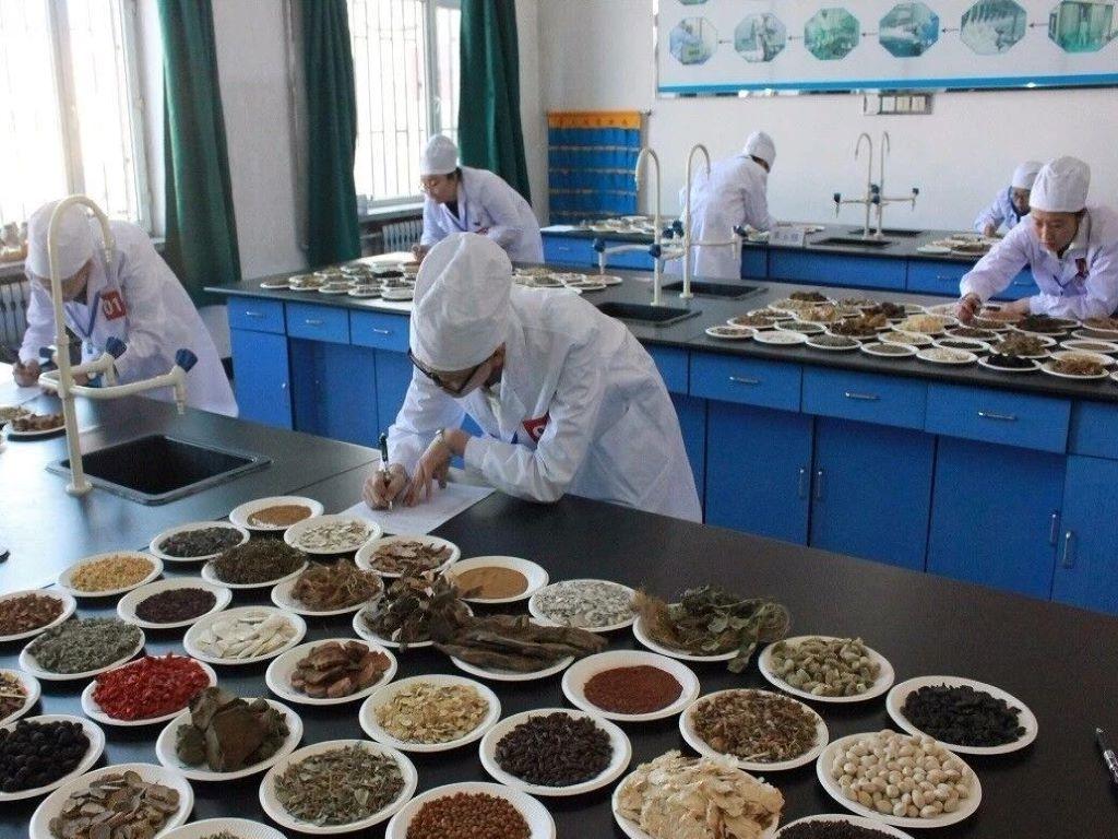 中药制药