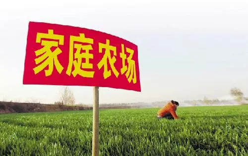 家庭农场生产经营